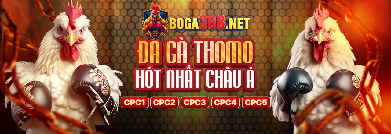 Các mẹo cá cược đá gà hiệu quả tại xoso6688 nhà cái