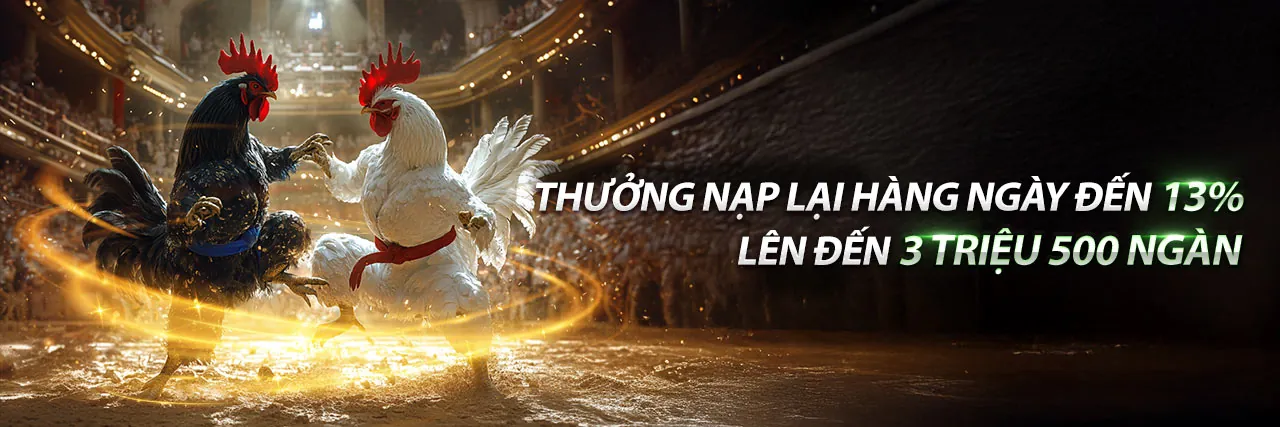 Sân đấu đá gà trực tuyến sôi động tại xoso6688 nhà cái